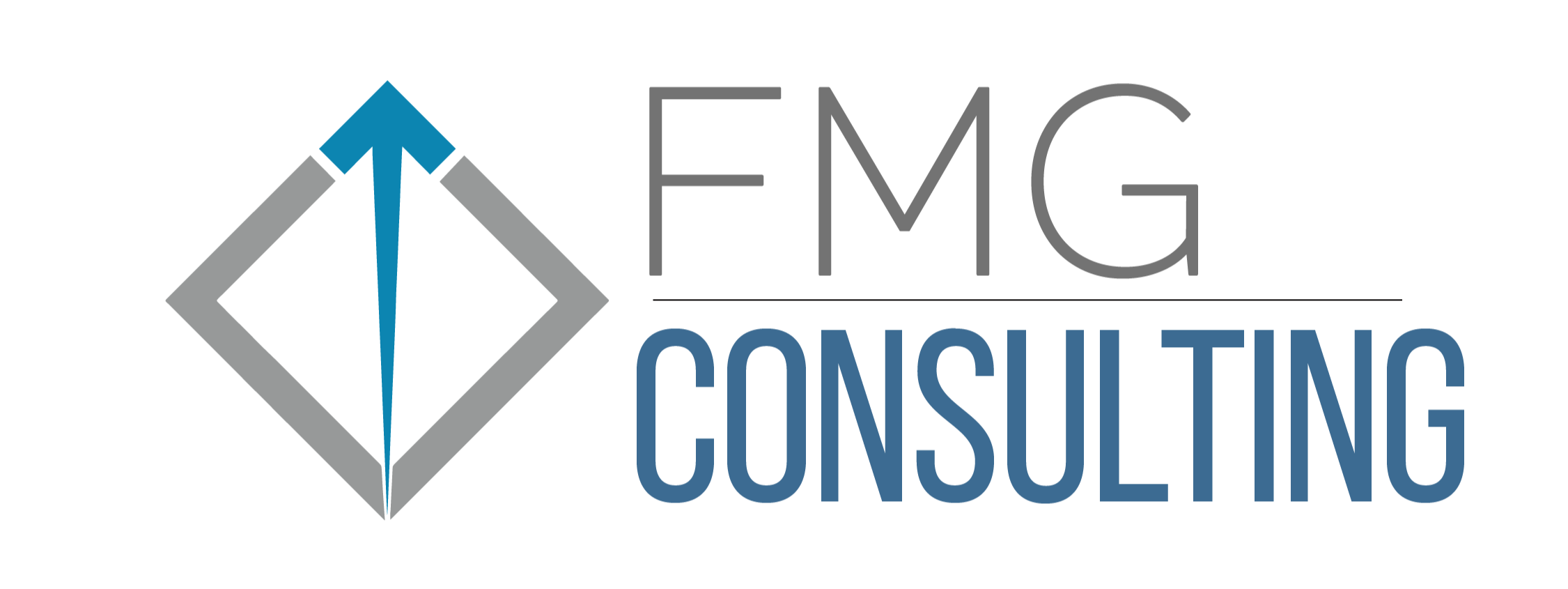 FMG Consulting